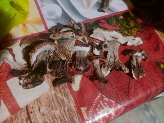 I will sell dried boletus 100% healthy, Only young