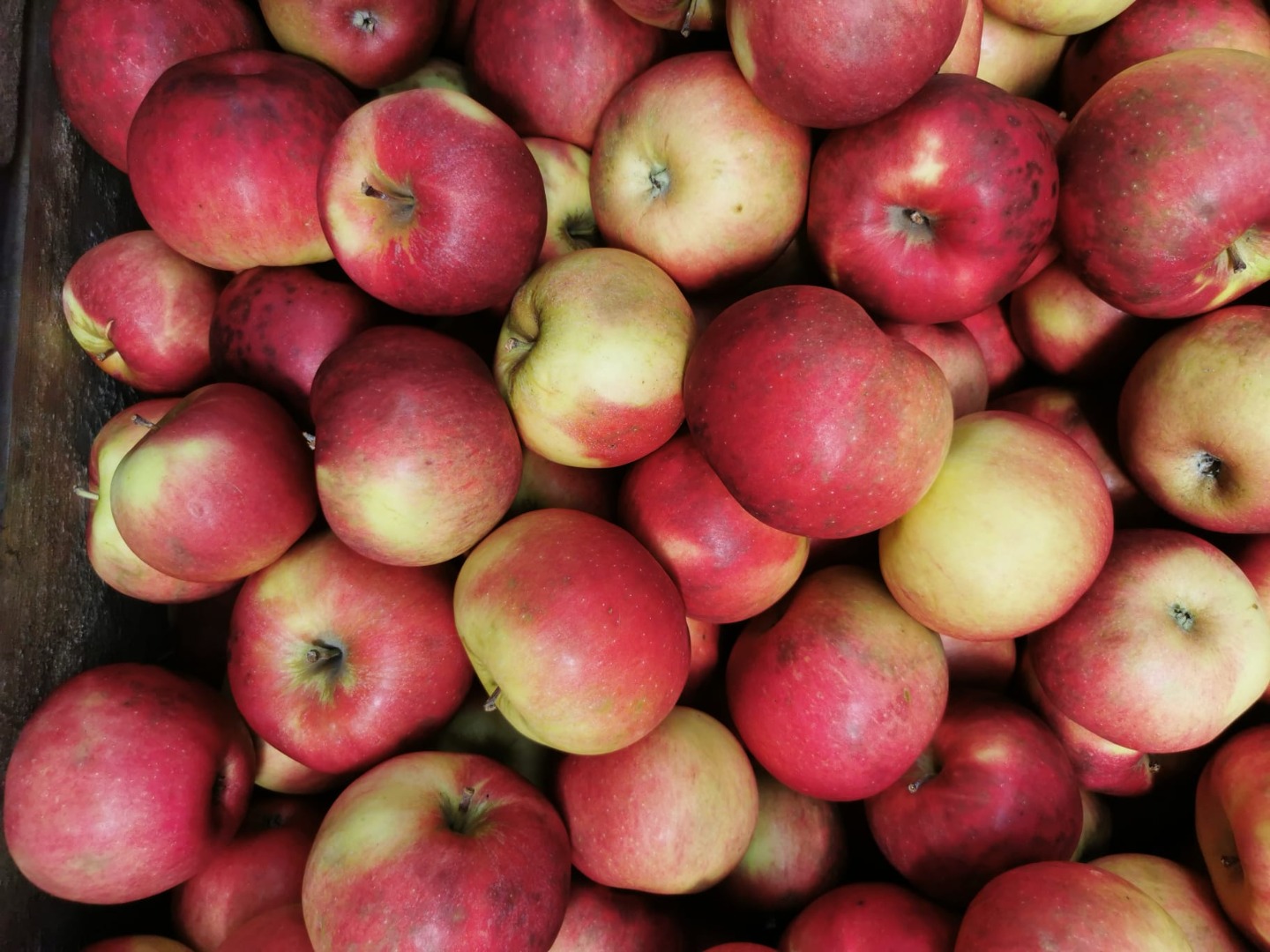 Hello, we are a company that sells peeled apples, apples for peeling or for making juiceIf you are interested, please contact us by email or phone