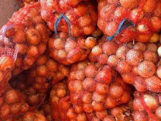 I will sell onions, caliber 5+, 20 kg nets
