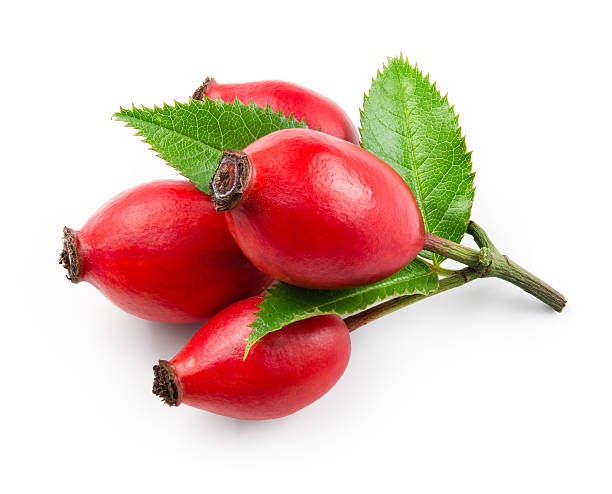Sales of fresh or dried rosemary, fresh or dried thyme, fresh or dried rosehip fruit