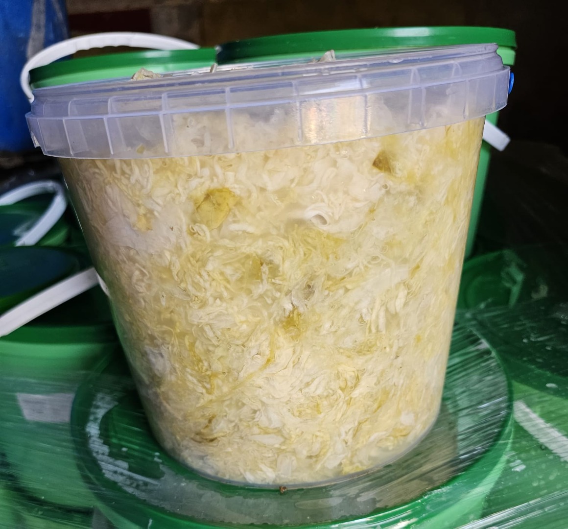 Hello, I am a cabbage producer from Charsznica, I have for sale sauerkraut, white, shredded