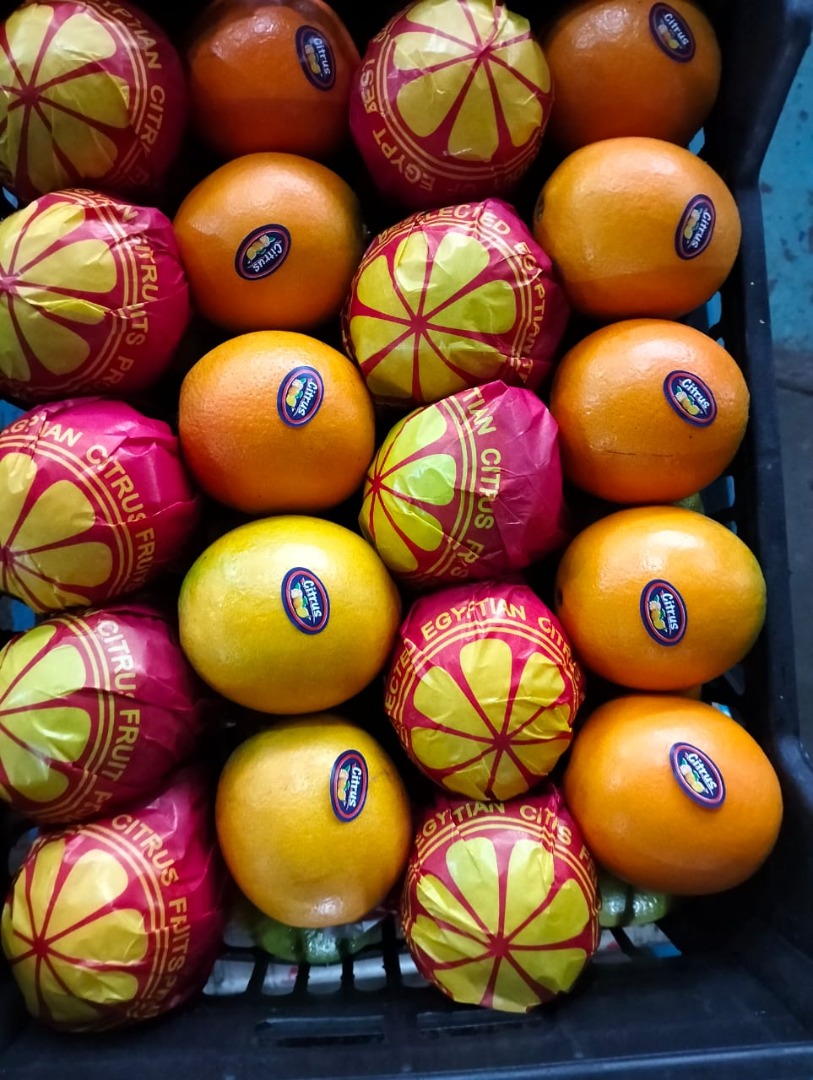 Navel and Valencia oranges Telescopic and open top, Size 36/125 Premium class 1 quality washed and waxed, also class 1.5 and class 2 also available