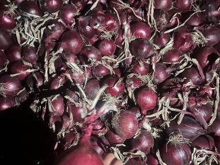 I have red onions for sale, suitable for packaging