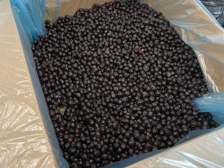 We offer high-quality frozen raspberries, collected from ecologically clean