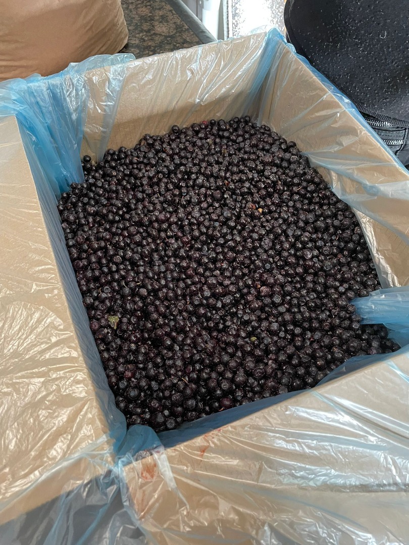 We offer high-quality frozen raspberries, collected from ecologically clean regions and quickly frozen to preserve their taste and nutritional value