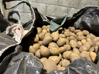 I can sell a healthy potato without any signs of disease