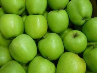 My company would like to import high quality apples