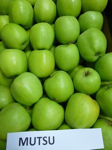 My company would like to import high quality apples to the Hungarian market