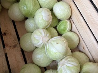 Hello. I have for sale white cabbage for industry