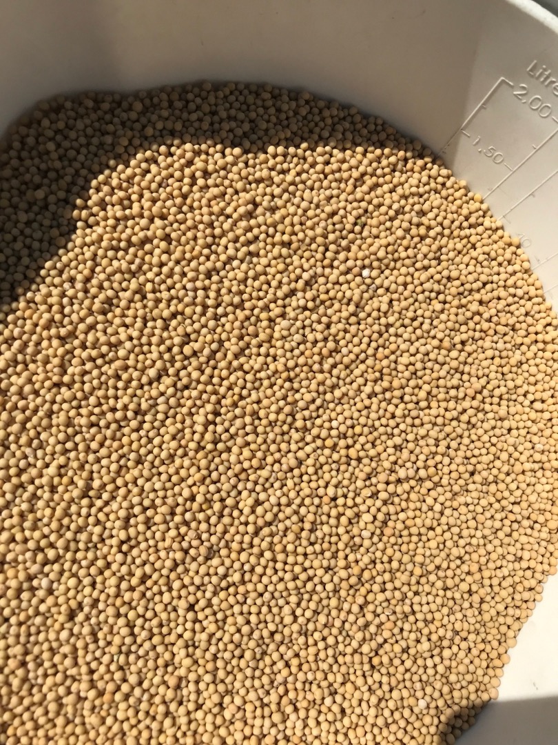 We offer for sale purified yellow mustard seeds of Ukrainian origin