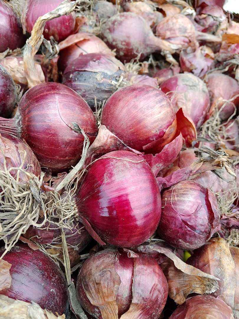I will sell red onions