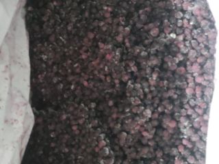 Frozen Blueberries for sale, Quantity 8,000 kg, Packaging kk