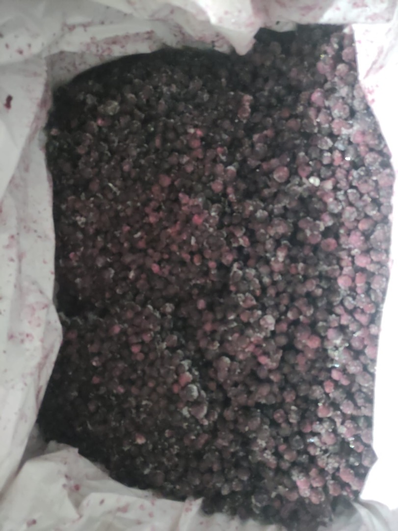 Frozen Blueberries for sale, Quantity 8,000 kg, Packaging kk 11/1 Quality BLOK price 2.80 e/ kg, Fco Smederevo