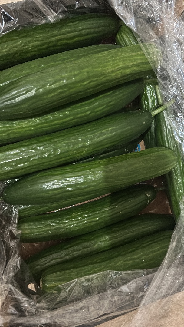 Good day, I have a fresh delivery of greenhouse cucumbers for sale