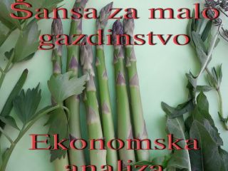 Extra class green asparagus, from April 1st to June