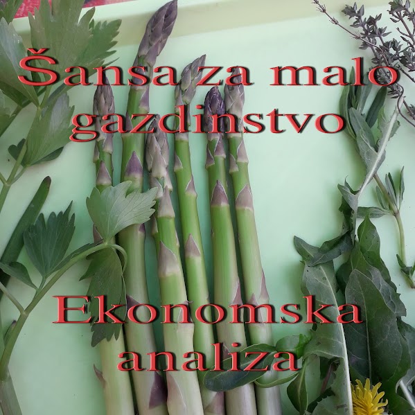 Extra class green asparagus, from April 1st to June 1st We are looking for a long-term partner for multi-year cooperation