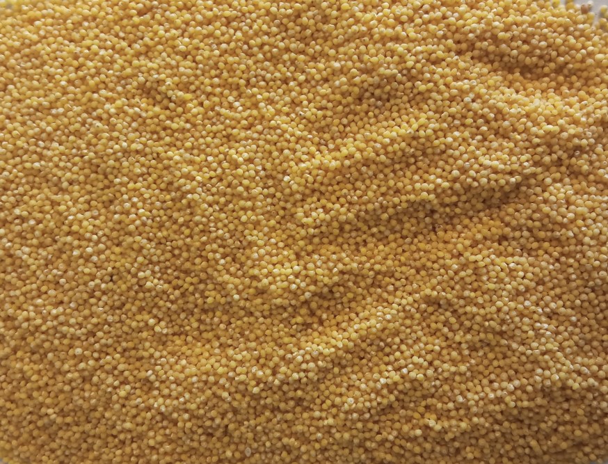 We sell premium grade millet groats, packaged in 25 or 50 kg bags