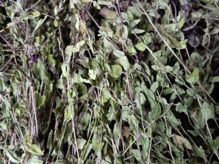 Hello, I am offering for sale oregano herb dried