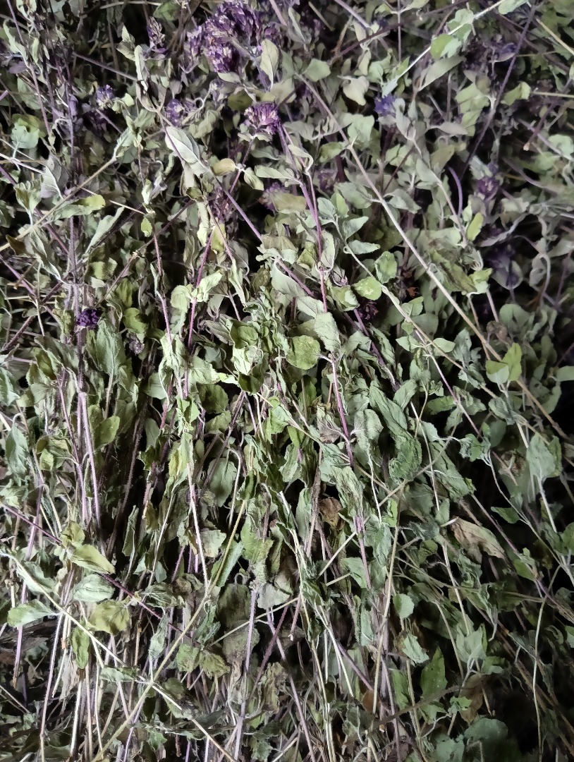 Hello, I am offering for sale oregano herb dried in a drying room, packed in big bags