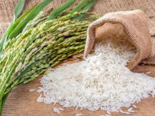 Delight in the superior quality of Tanzanian rice, celebrated
