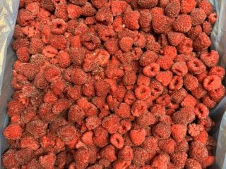 Selling frozen raspberries 80-20, original, gris.