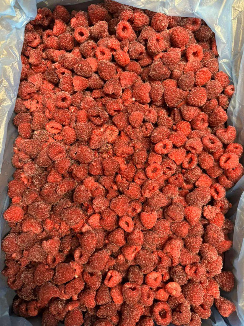 Selling frozen raspberries 80-20, original, gris