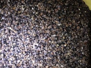 I will sell buckwheat grown without the use of