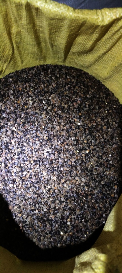 I will sell buckwheat grown without the use of plant protection products, cleaned on a winnowing machine