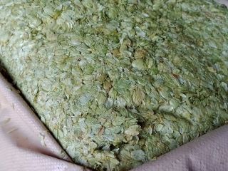 I will sell hops (HOPS CONE), harvest 2024.