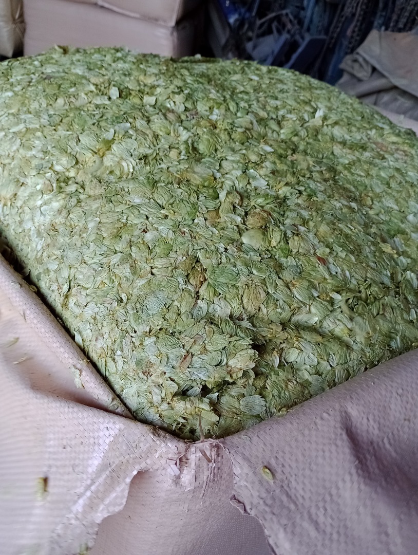 I will sell hops (HOPS CONE), harvest 2024