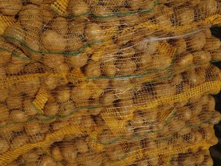 I will sell yellow potatoes Caliber 5+. BB packaging,