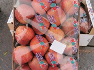 I am selling red apple 540kg. At 1.20lv/kg wholesale.