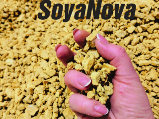 Soybean meal and oil