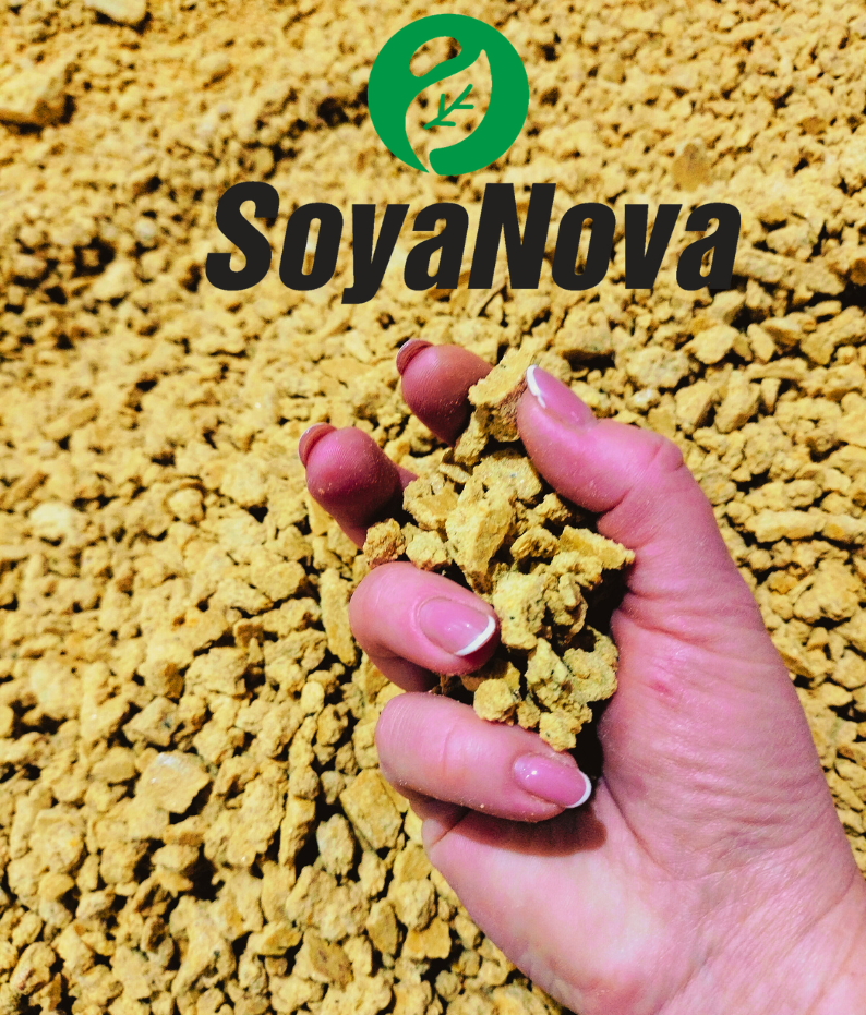 Soybean meal and oil