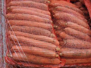 I will sell unwashed carrots, 10 kg bag, 2.5-5
