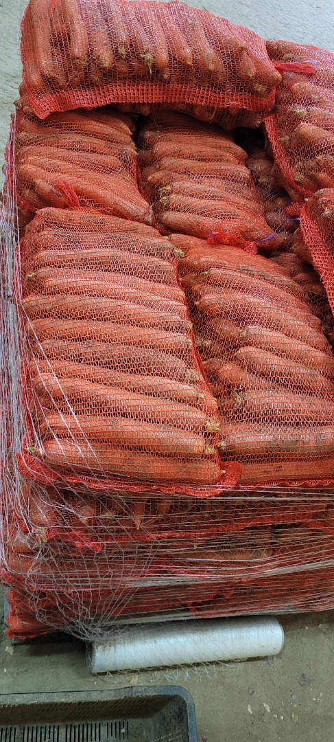 I will sell unwashed carrots, 10 kg bag, 2.5-5 cm caliber