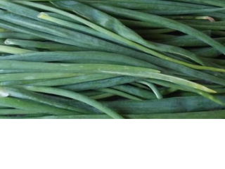 Chives producer 0.88 PLN per bunch (30 g) Chives