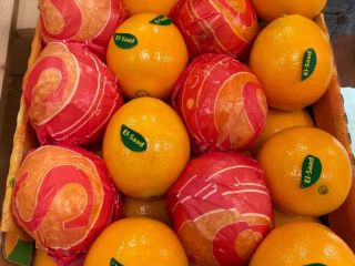 Orange, Mandarin, Lemon, Pomegranate, Potato From Egypt, Cyprus, Turkey,