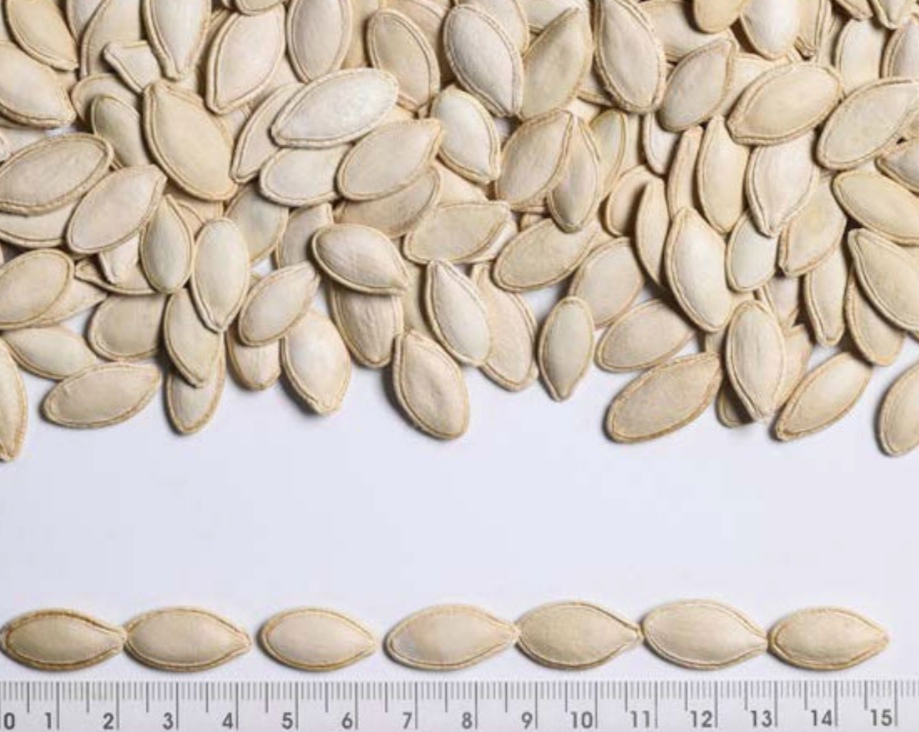 Selling pumpkin seeds