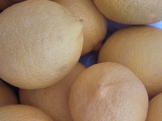 Chemical-free lemons. With plenty of juice and an unbeatable