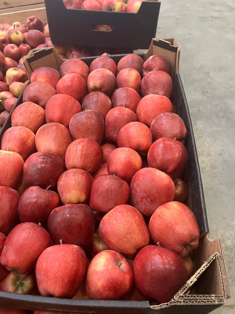We sell apples of different varieties at different prices