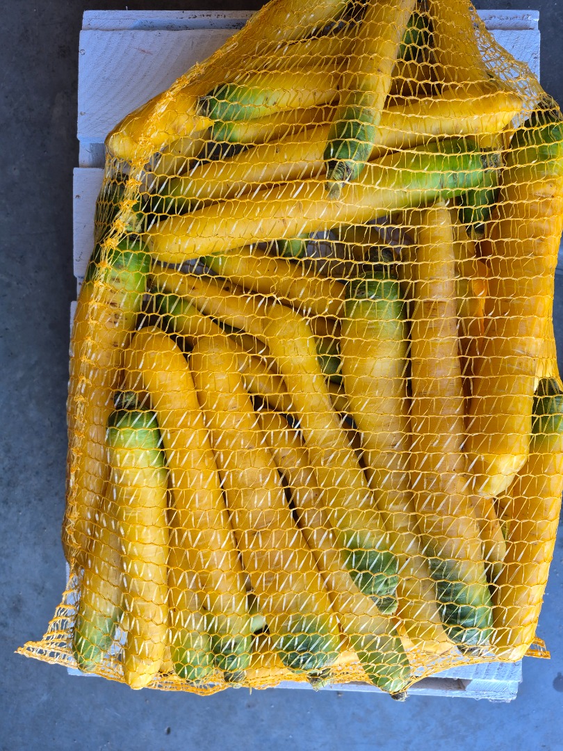 Yellow carrots for sale