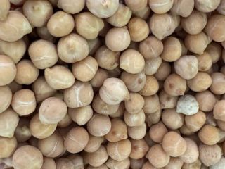 Chickpeas CHICKPEAS(KABULITYPE) Harvest 2024 Moisture: 12.0% Max Grain impurity: