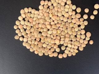 We are happy to offer you green lentils type