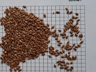 Our company "Ingran BV" specializes in trading oilseeds, grains