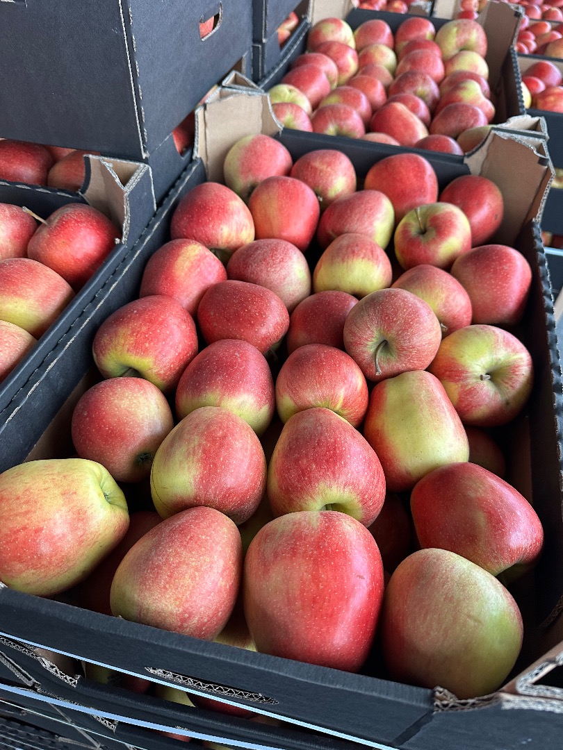 Hungarian wholesale company is looking for a Polish wholesale company for long-term cooperation! We would like to buy apples of the following varieties: