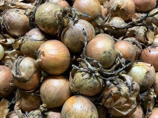 I will buy yellow onion for peeling, caliber minimum