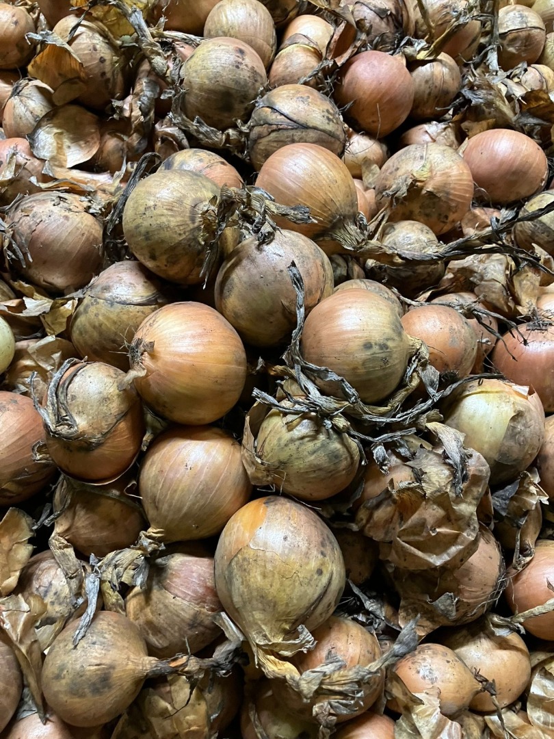 I will buy yellow onion for peeling, caliber minimum 40mm +