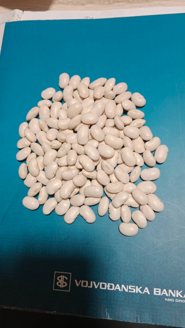 White beans, crop 2024, first class