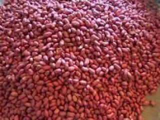 Peanuts Grade Table Grade Size (mm) Color Moisture Content